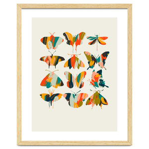 Colorful Butterflies by Annick