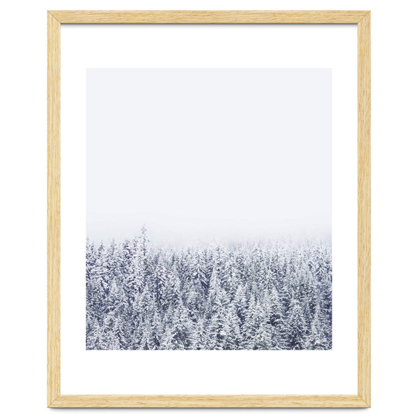 A Tale Of Snow