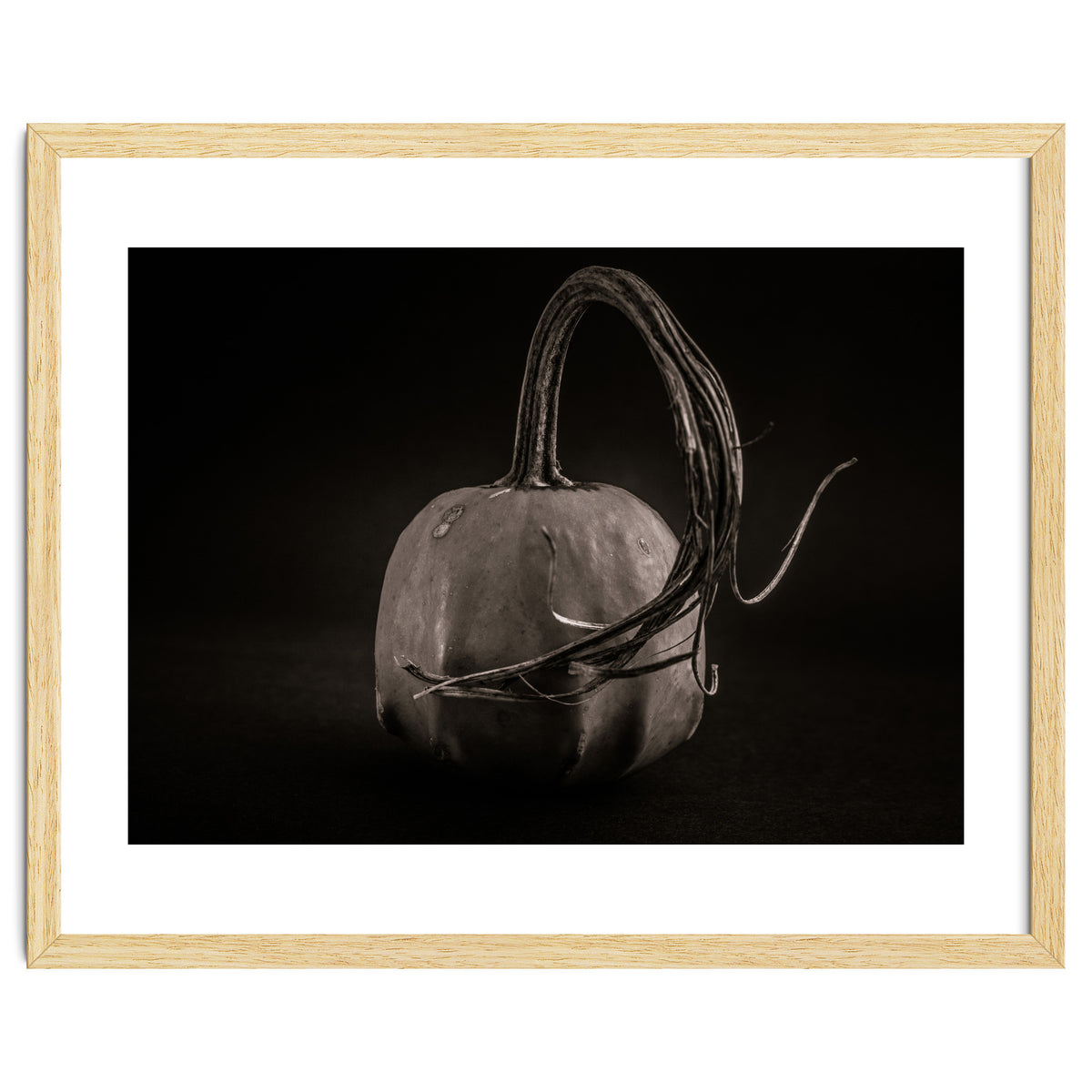 Gourds No 14