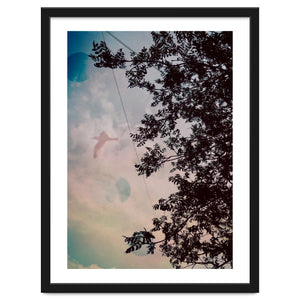 This Bird Has Flown by Kerry Gerdes Photography