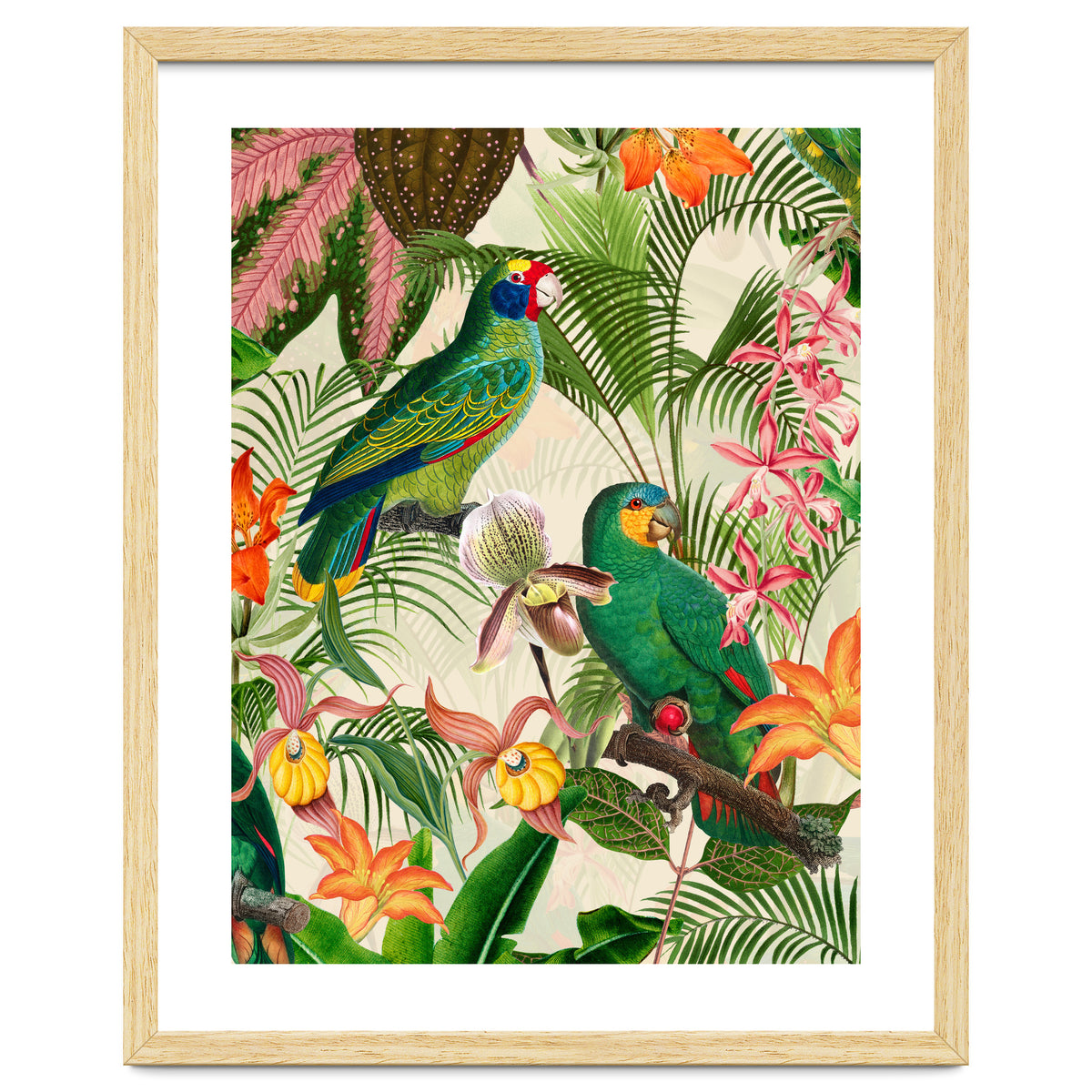 Parrots in tropical Jungle