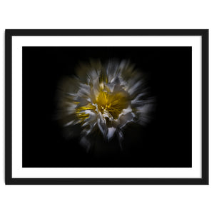 Backyard Flowers No 25 Color Flow Version by The Learning Curve Photography