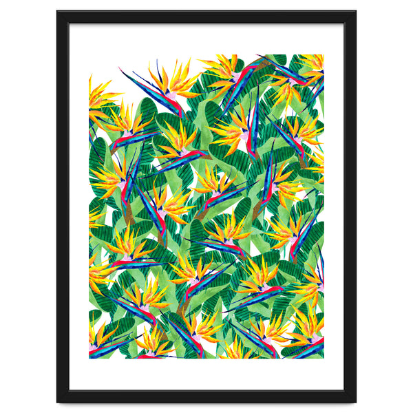 Summer Strelitzia