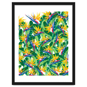 Summer Strelitzia by Amaya