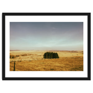 Dartmoor 2018 by Kerry Gerdes Photography