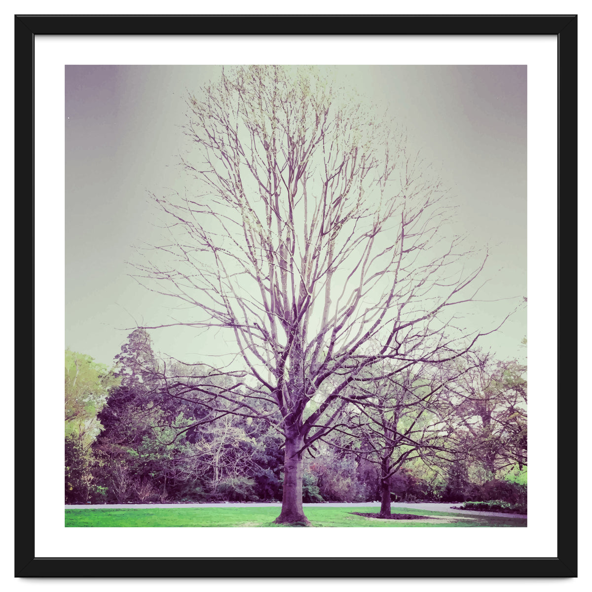 Tree Of Dreams