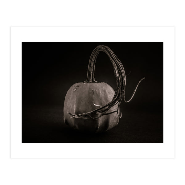 Gourds No 14 (Print Only)