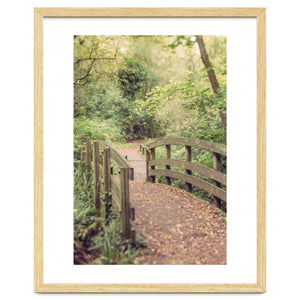 Path To The Bridge by Debra Cox