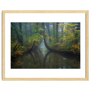 The bent trees by Martin and Yen