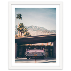 Palm Springs Pink by Jens Ochlich