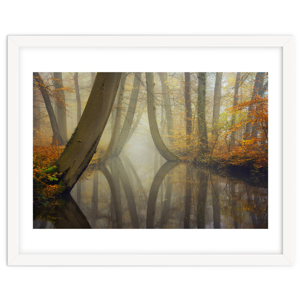 Bent trees in autumn