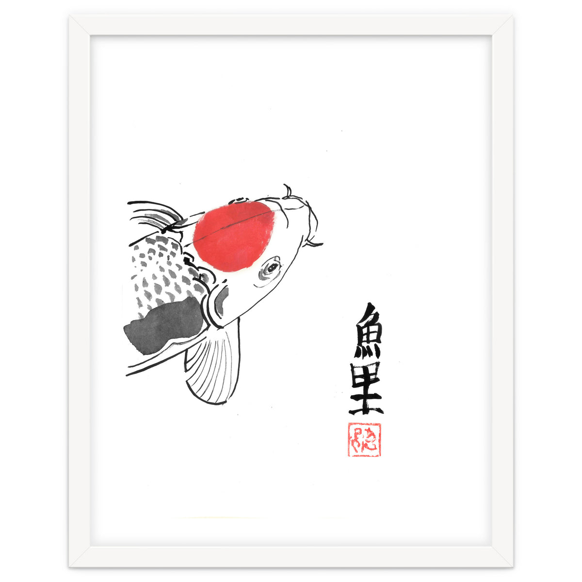 Karp Koi Close Up
