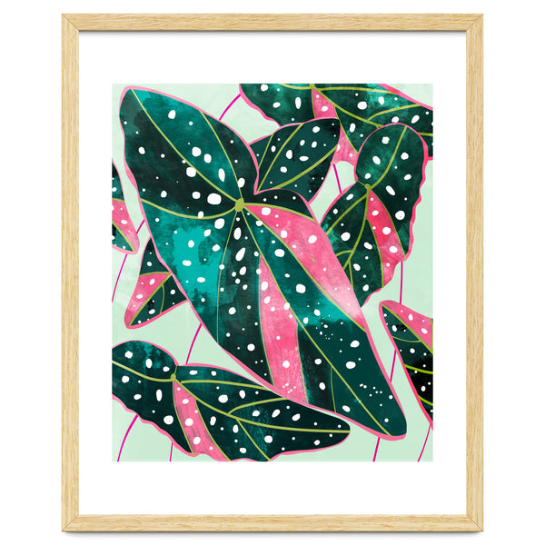 Haripriya | Modern Bohemian Botanical Painting | Watercolor Vintage Tropical Exotic Plants