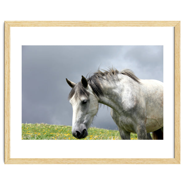 White Horse