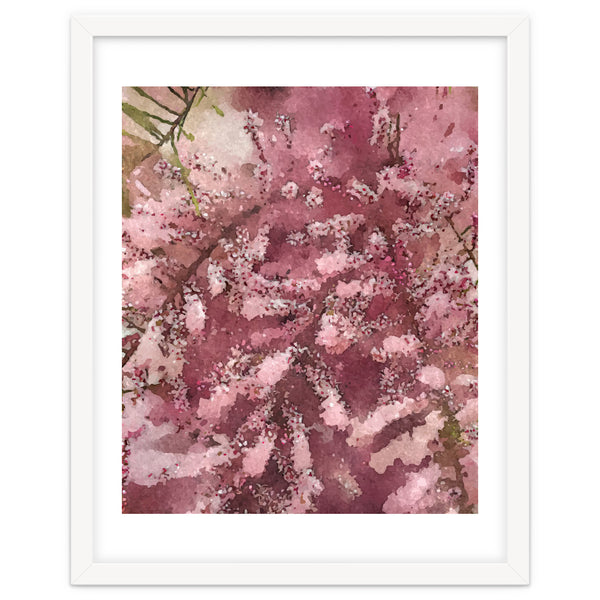 Pink Blossom