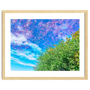 Changing Seasons by Kerry Gerdes Photography
