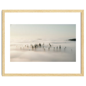 Misty Peaks: Pine Forest Above the Clouds by artistic