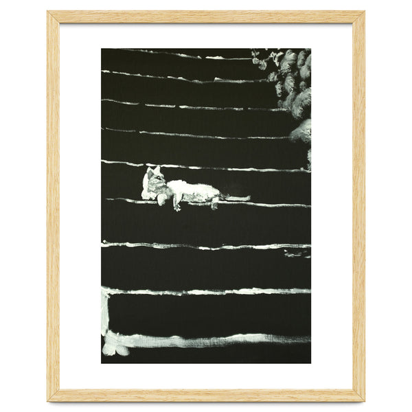 Cat On Stairs