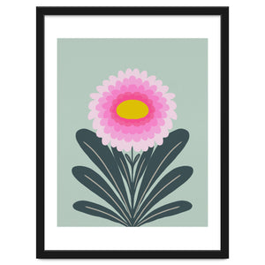 Chrysanthemum - turquoise and pink by Wackapacka