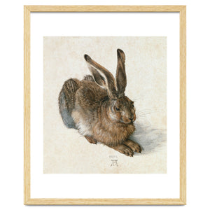 Hare-Hase. Watercolour. by Album
