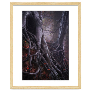 Tree roots by Martin and Yen