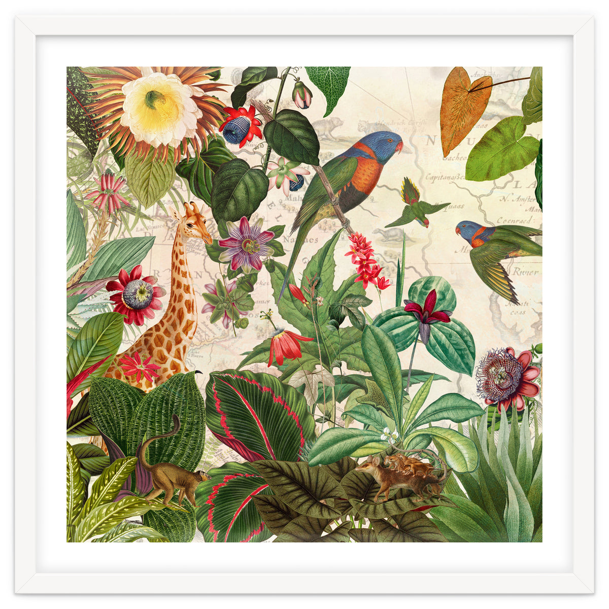 Exotic Lush Jungle And Wild Animals Landscape
