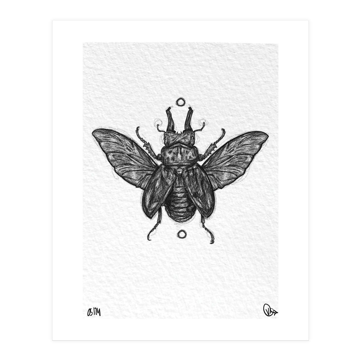 Hirschkäfer (Print Only)