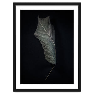 Leaves No 3 Color Version by The Learning Curve Photography