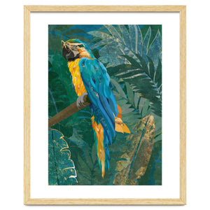 Macaw in the jungle by Sarah Manovski