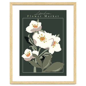 Flower Market London Hellebore by Annick