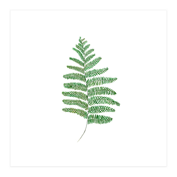 Fern (Print Only)