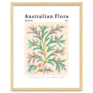 Australian Flora: Wax Flower by Rebecca Flaherty
