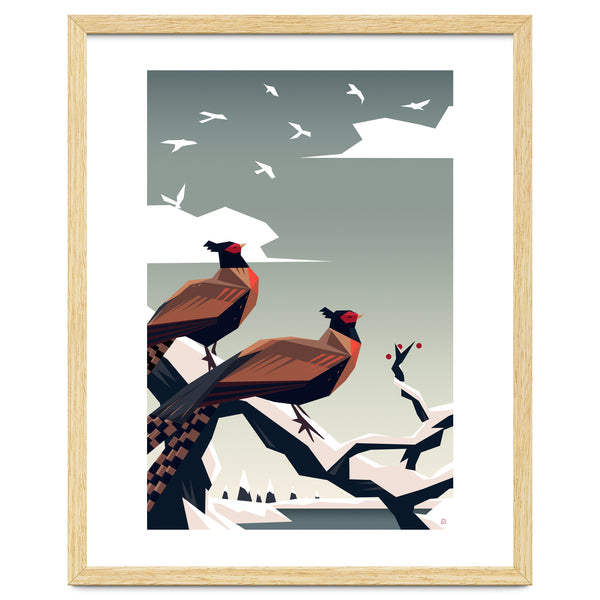 Call of the pheasants
