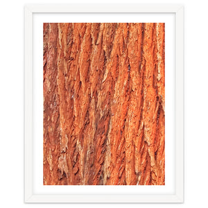Tree Bark by skyeaglephotography