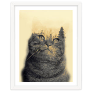 Cat double exposure by berwies