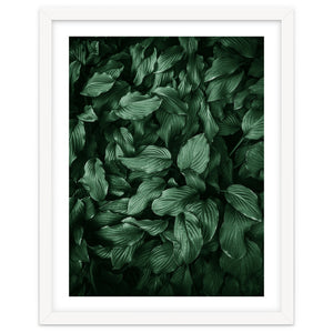 New Foliage Green Ii by Art and Heart