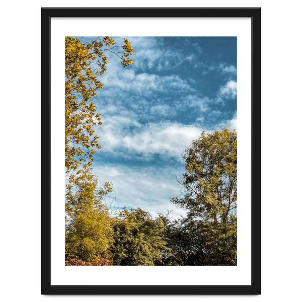 Autumn Evening