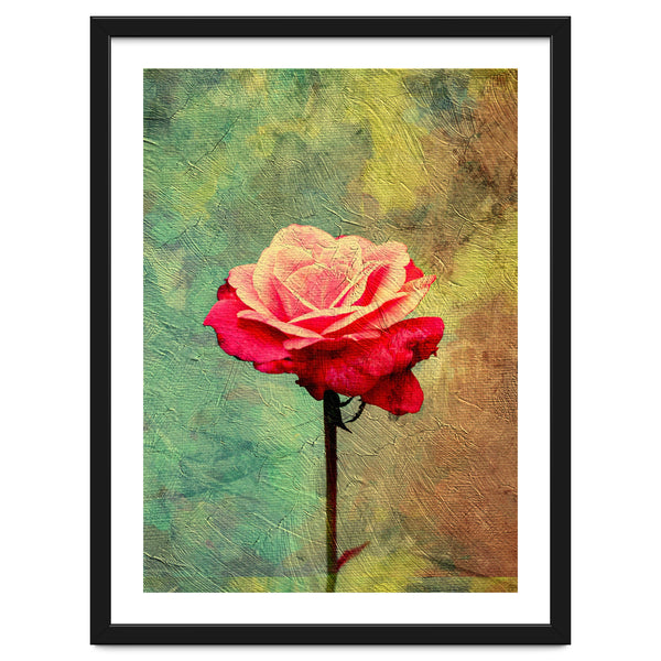 A Vibrant Red Rose