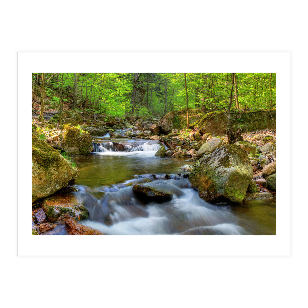 Spring At Harz Moutain (Print Only)