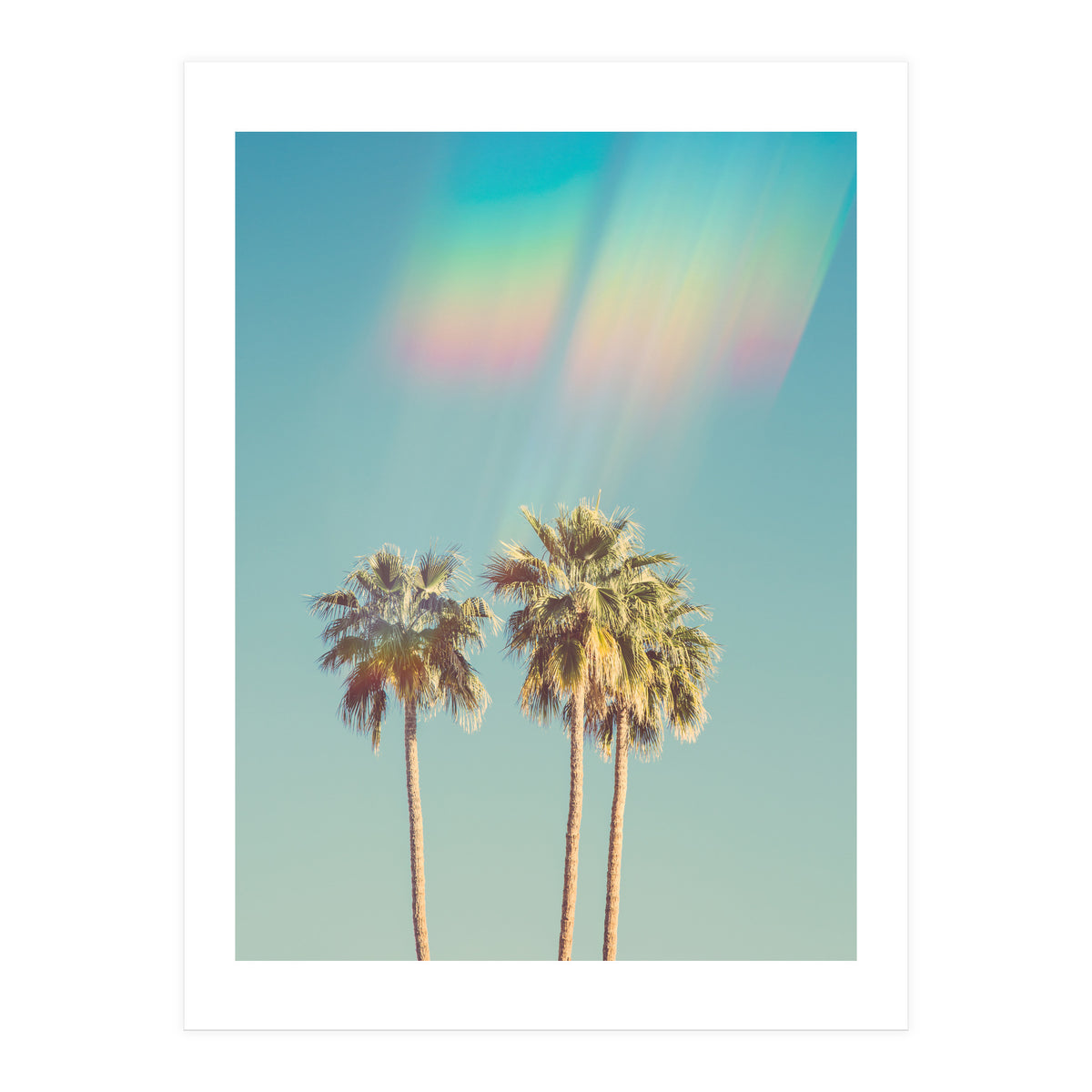 Groovy California Palm Trees (Print Only)