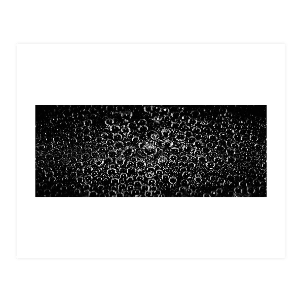 Bubbles (Print Only)