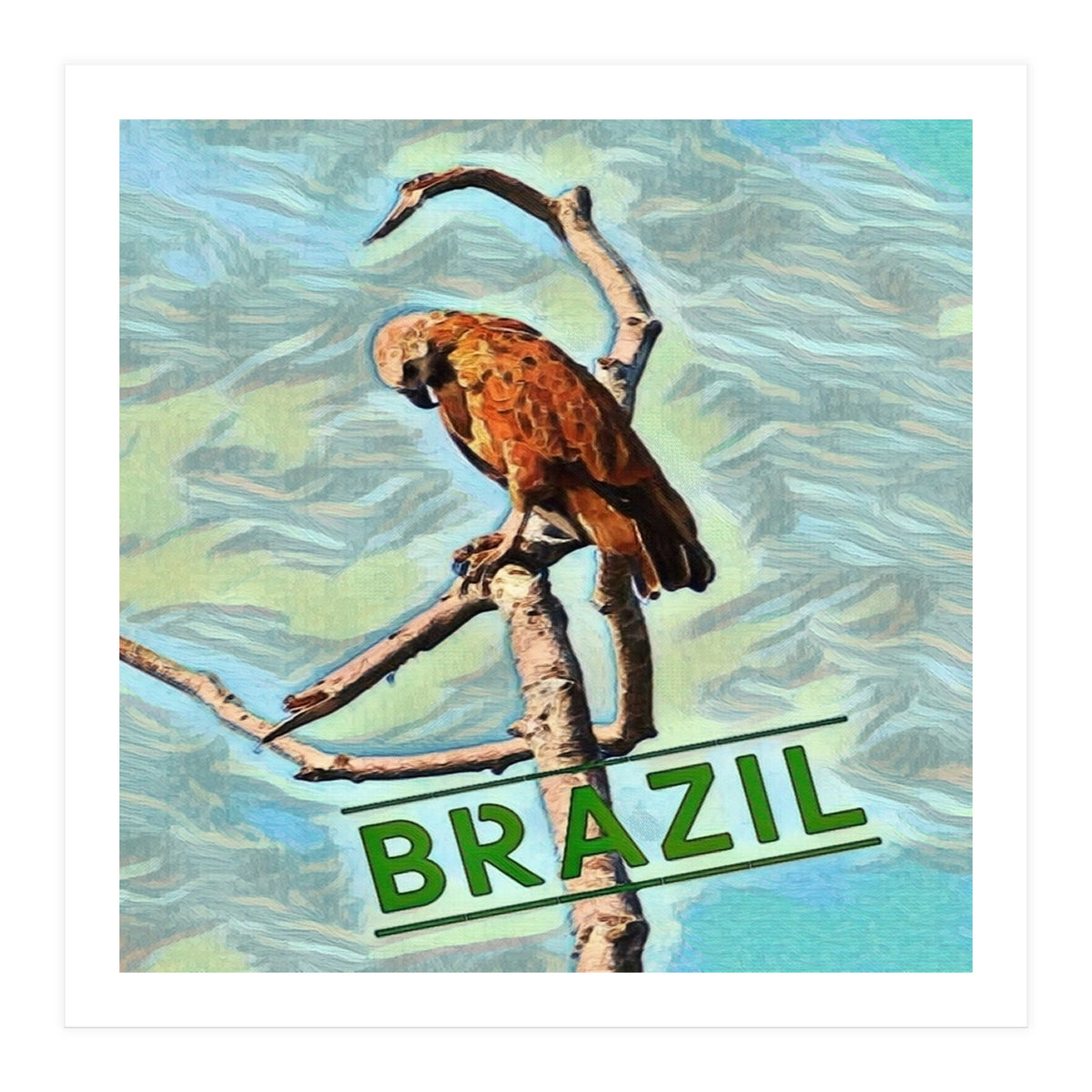 Brazilian resting Eagle (Print Only)