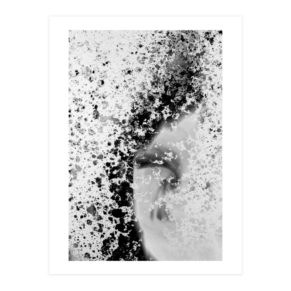 Prisma Black (Print Only)