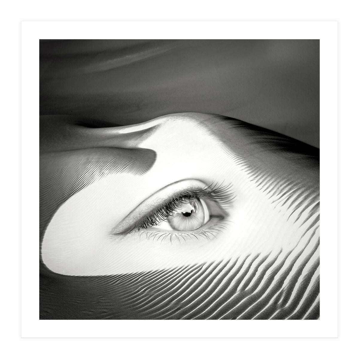 Untrue (Print Only)