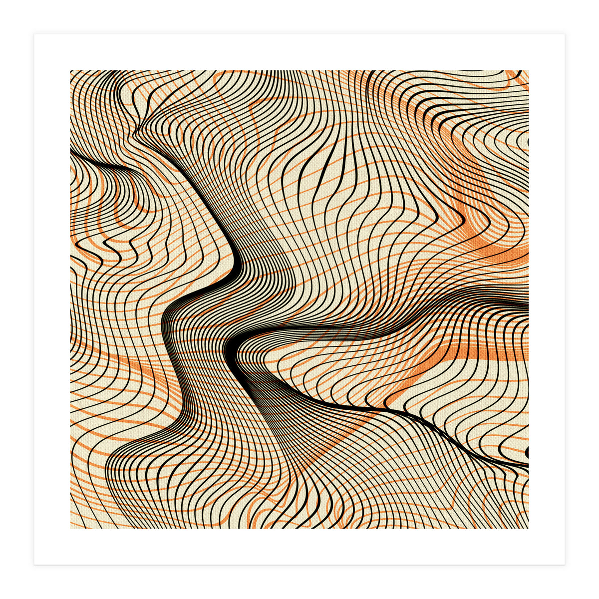 Creme (Print Only)