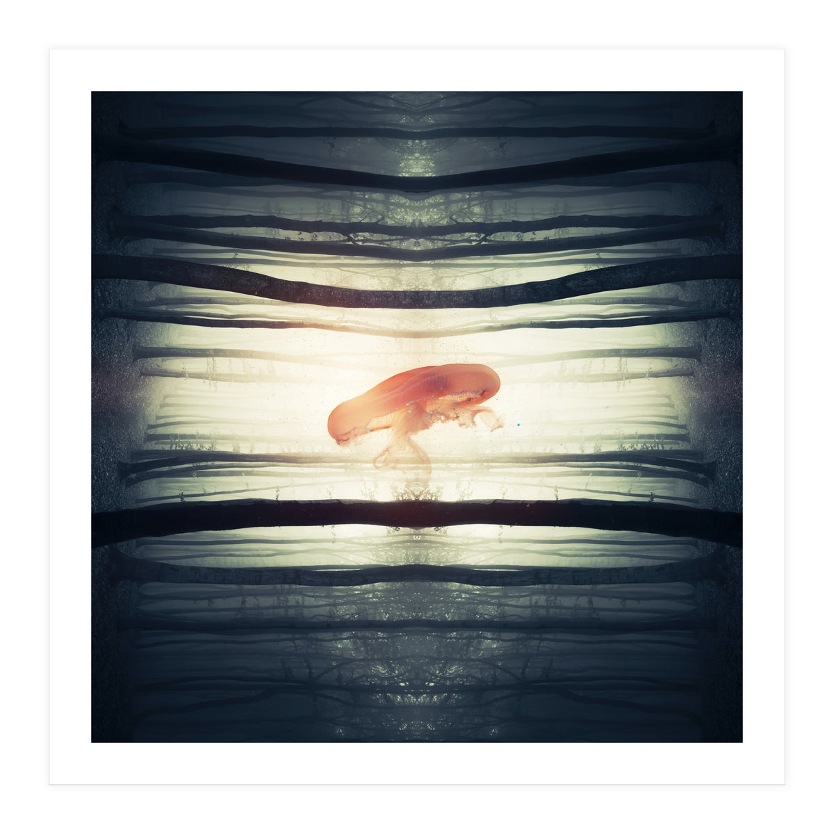 Glow (Print Only)