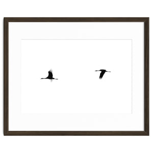 Crane(s) II by Tal Paz-Fridman