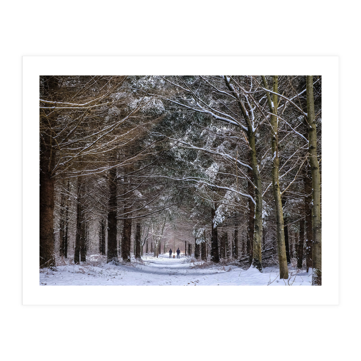 Dog Walkers in the Snow. Heath Warren - Hampshire (Print Only)