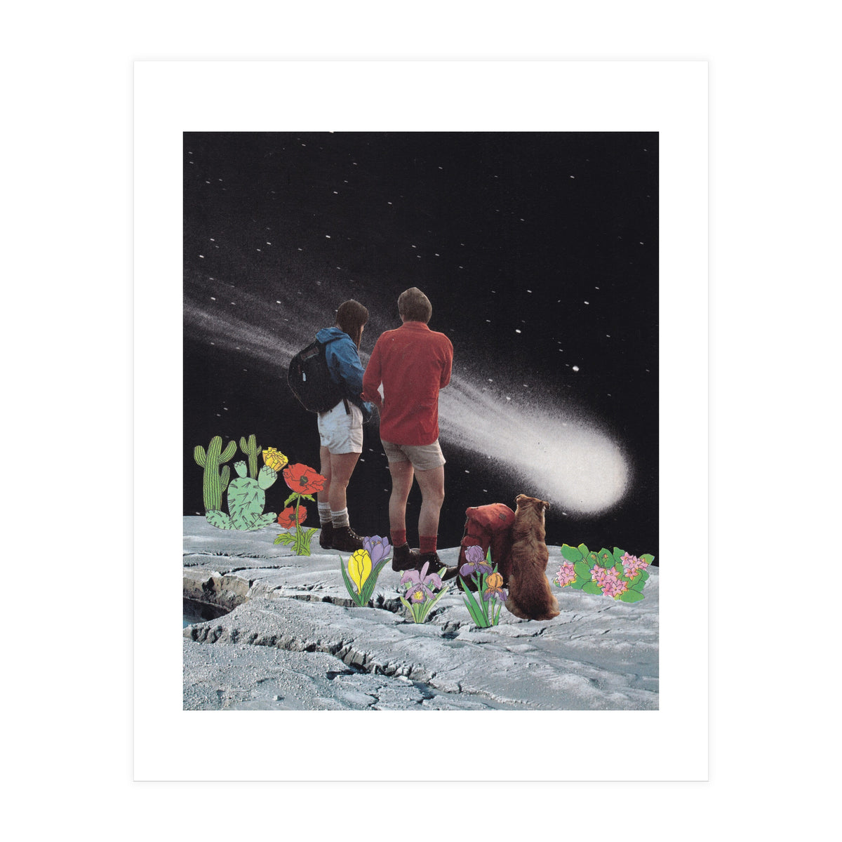 Comet (Print Only)