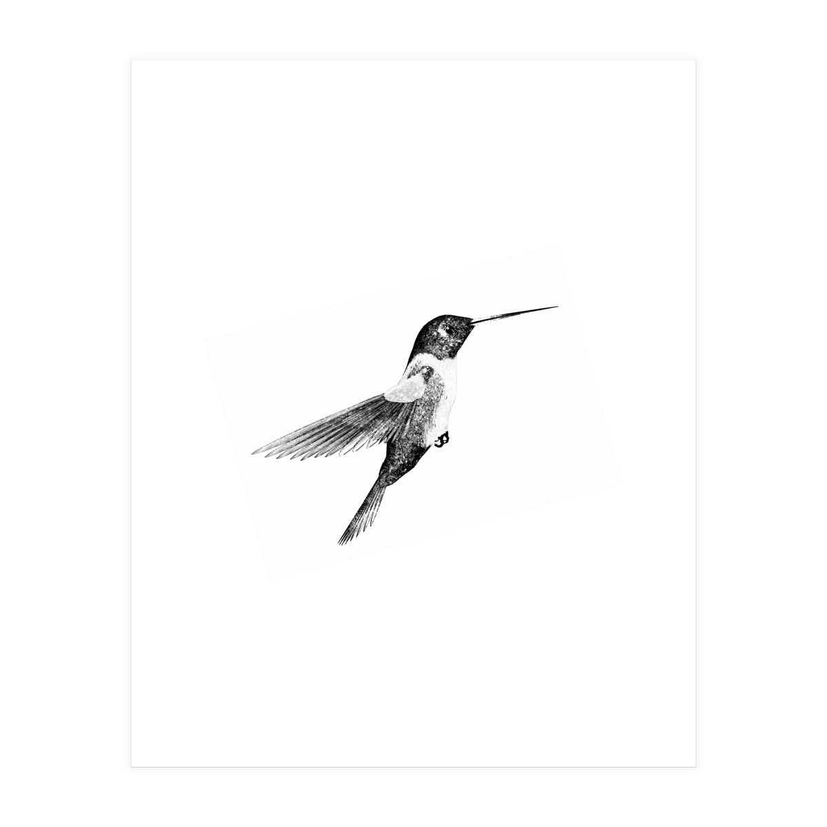 22 (Print Only)